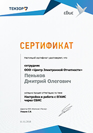 Сертификат СБИС - настройка и работа с ЕГАИС через СБиС